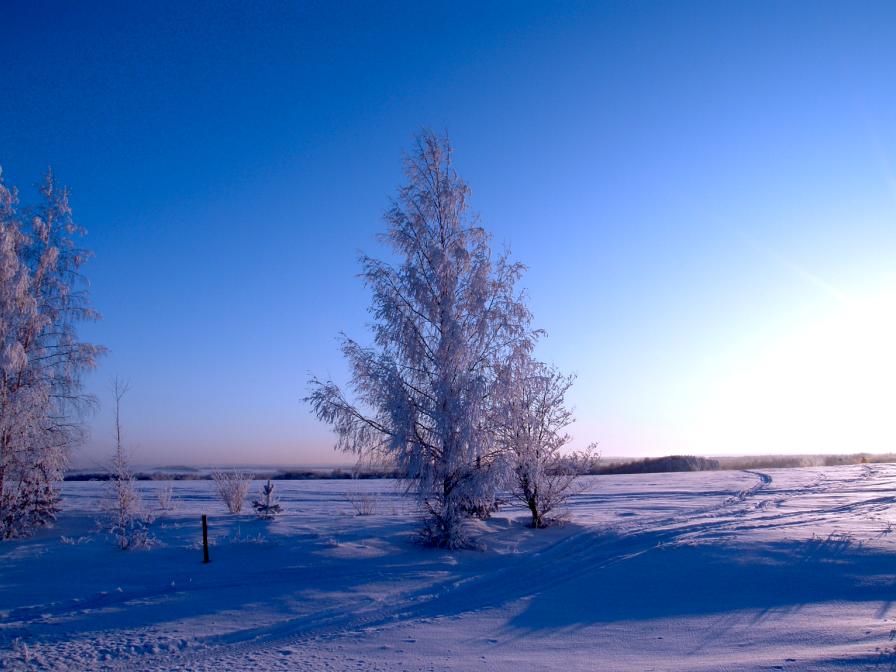 в снегу