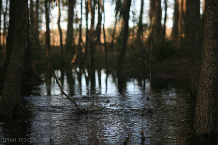 Уран 100/2.5 + Canon 5D