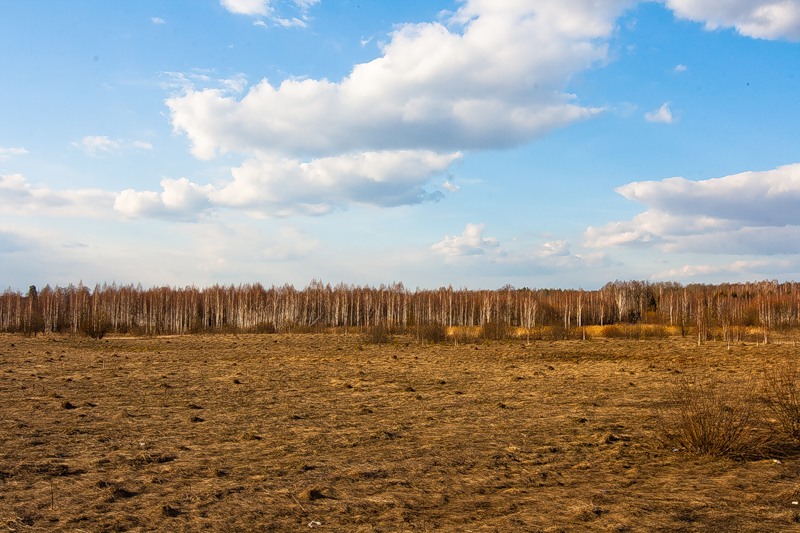 Пейзаж