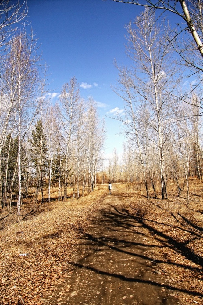 По дорожкам золотых алей