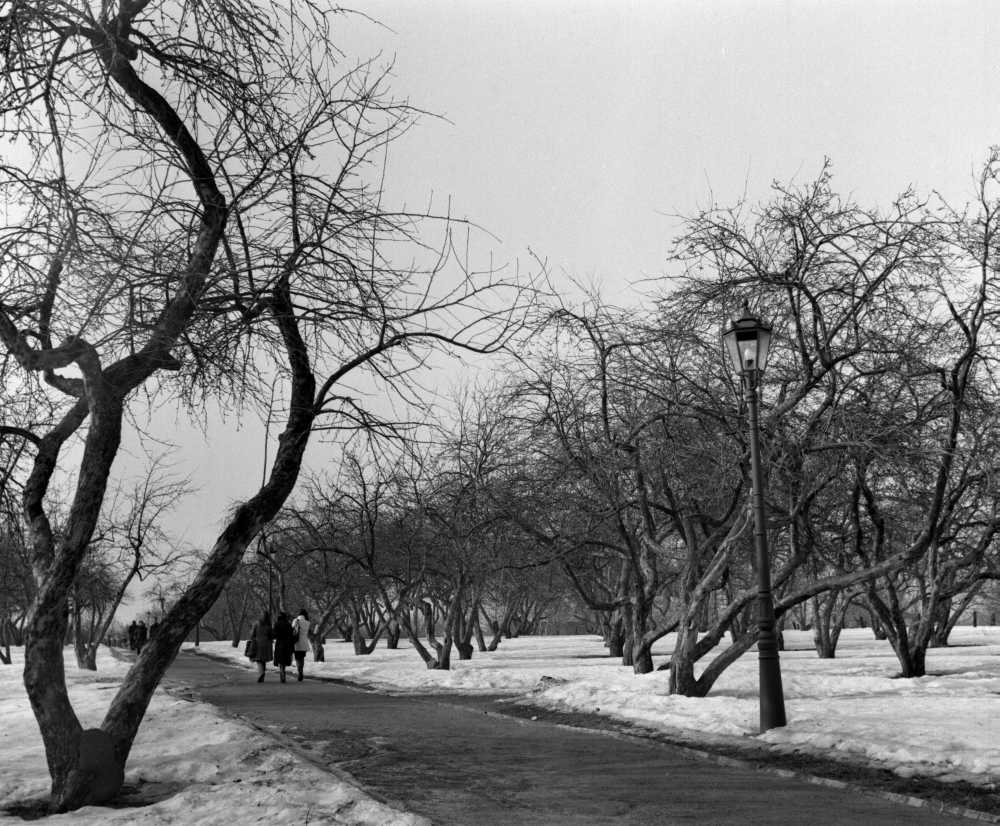 Фонарь, Коломенское