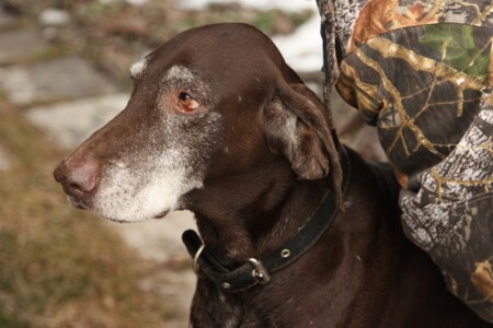 &amp;quot;Бабушка&amp;quot; Нора