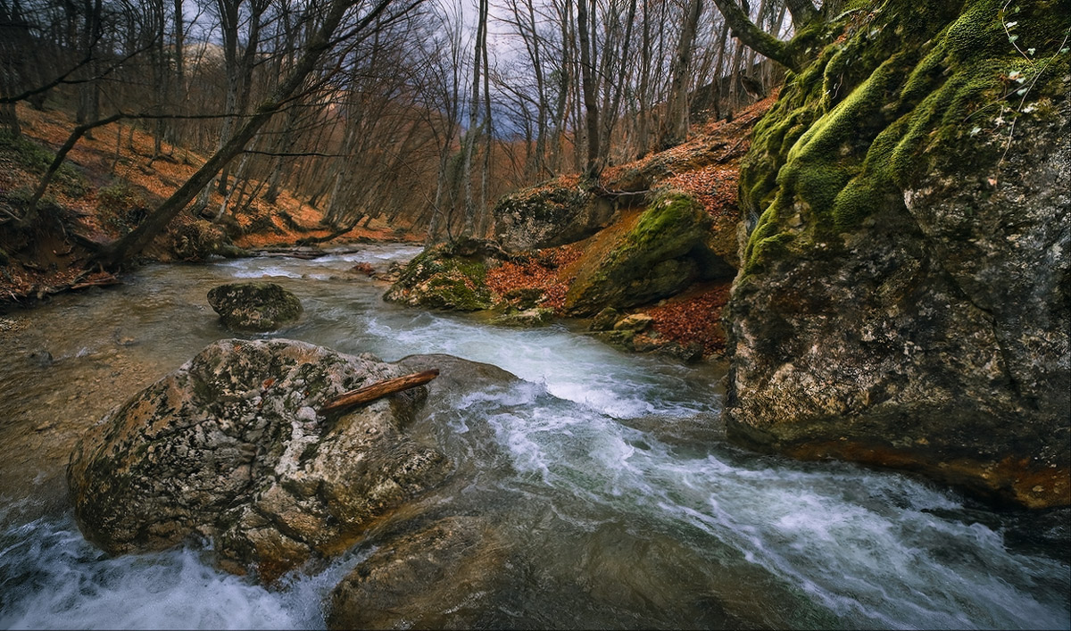 На склонах Ай-Петри