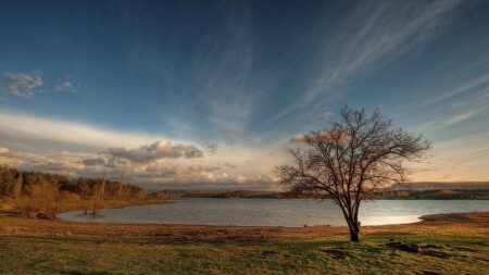 После дождя