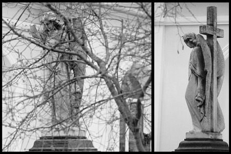 Каменный Ангел.