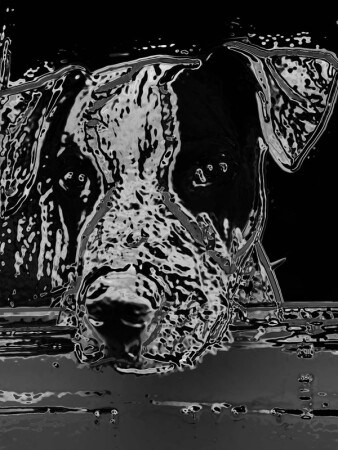 тайна друга