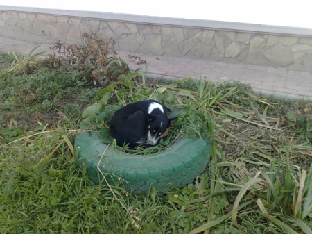 &amp;quot;Дом на колесах&amp;quot;