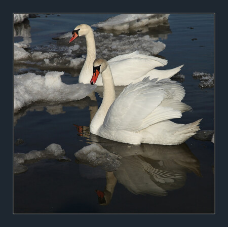 ВПЕРЕДИ ЛЕТО