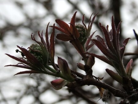 осенне-весеннее настроение