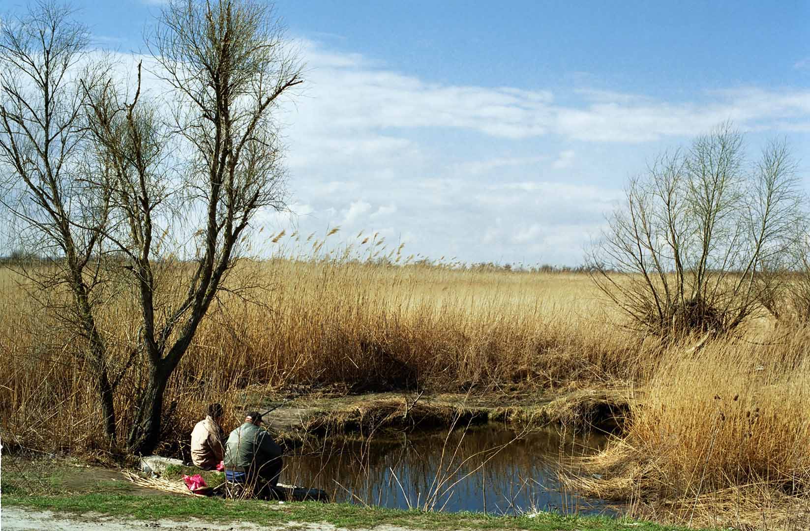 Кореша