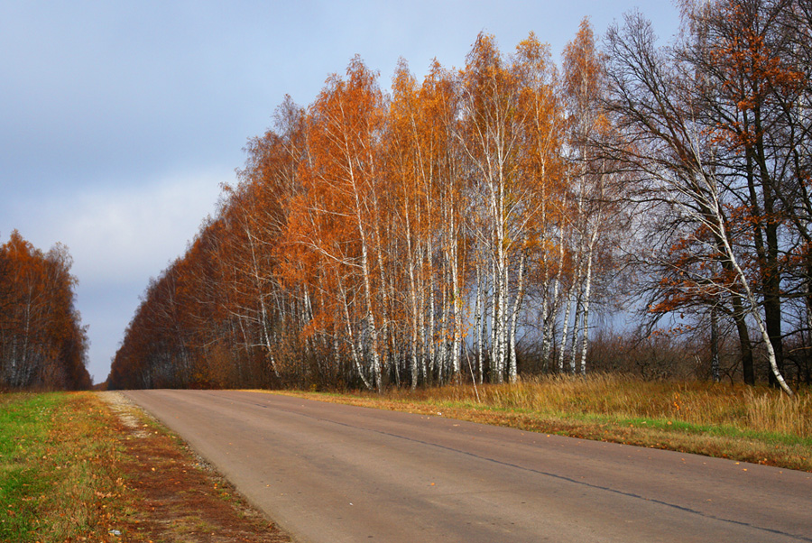 Дорога в Спасское