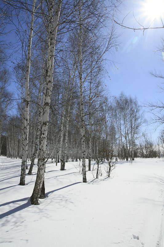 мороз и солнце