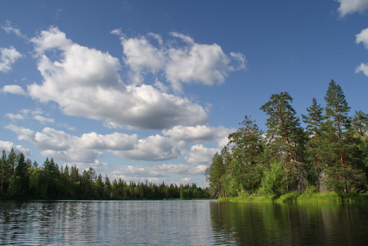 Карелия. Шуя. Полдень.