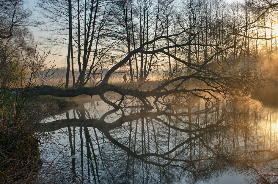 СТАЛКЕР