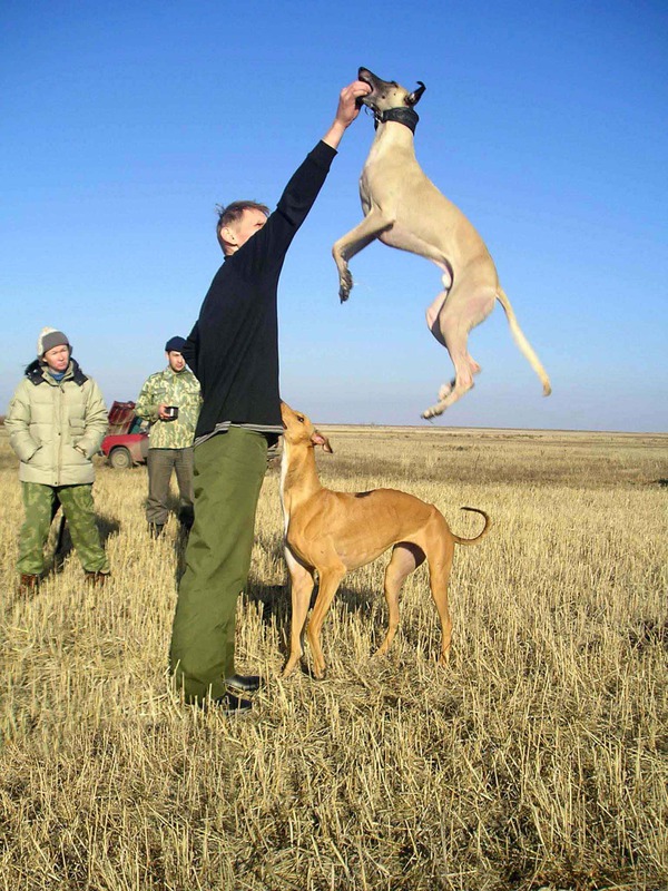 На старт! Внимание! Взлет!