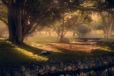 Park .
