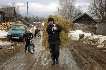 Кони отдыхают...