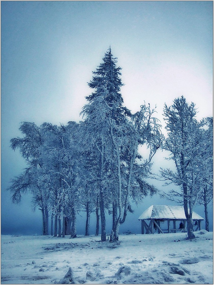 Замерзающая красота...