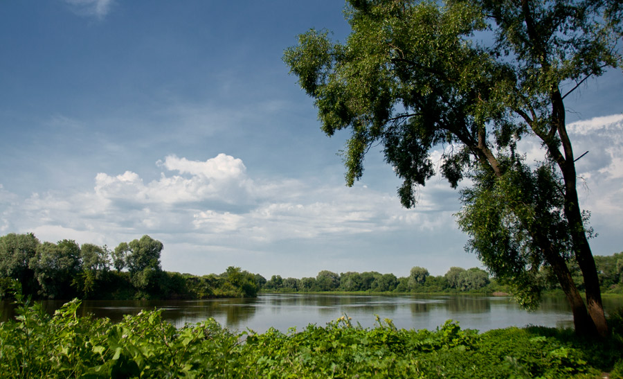 Жаркий полдень.