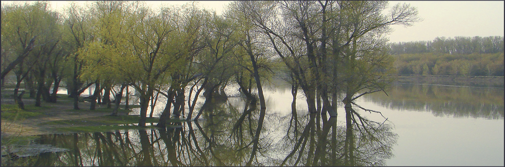 вода пошла