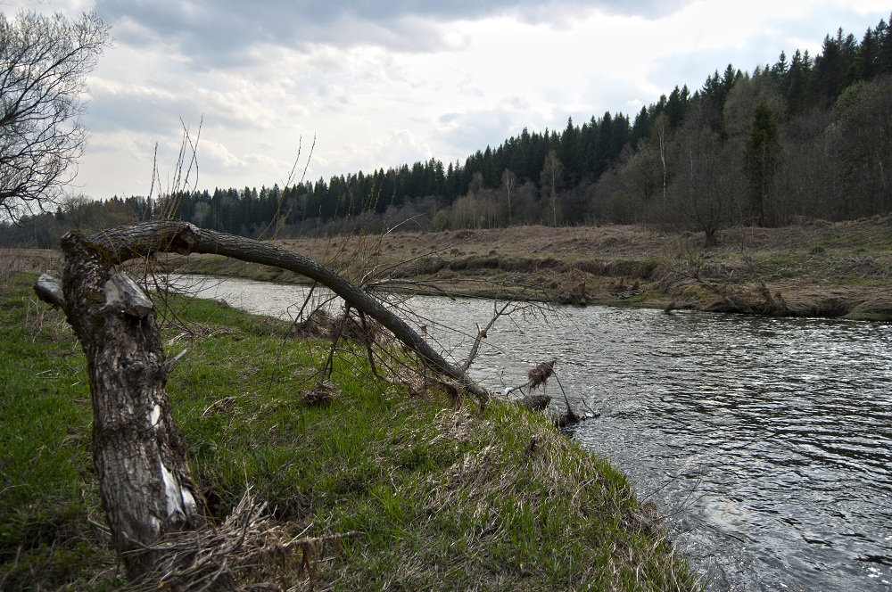 к воде