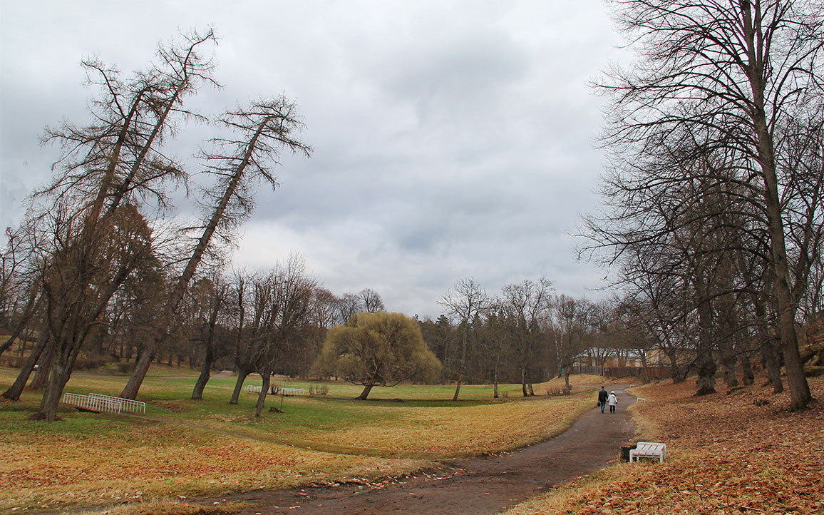 Прогулки в Монрепо