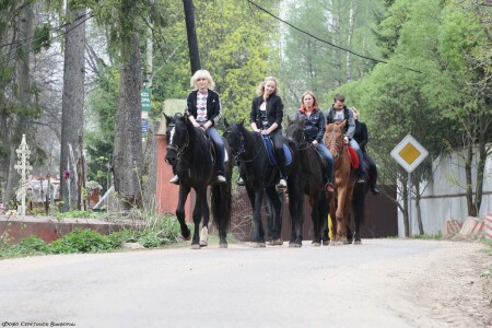 Прогулка на лошадях