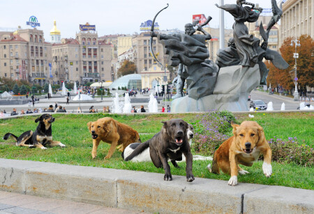 Добро пожаловать в Киев