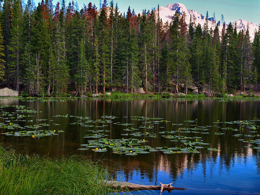 Nymph Lake