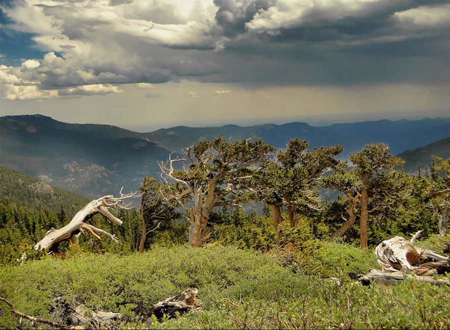 Mt. Evans