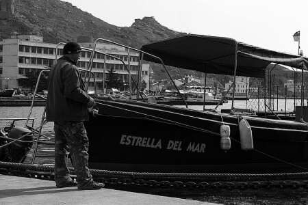 estrella del mar