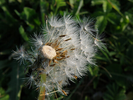 Покидая родной дом