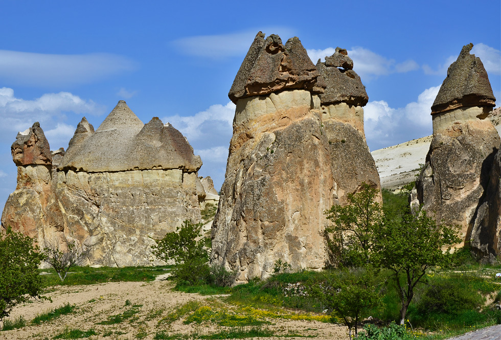 Грибные места