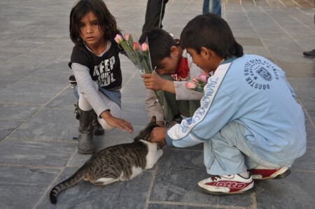 Осколки добра...