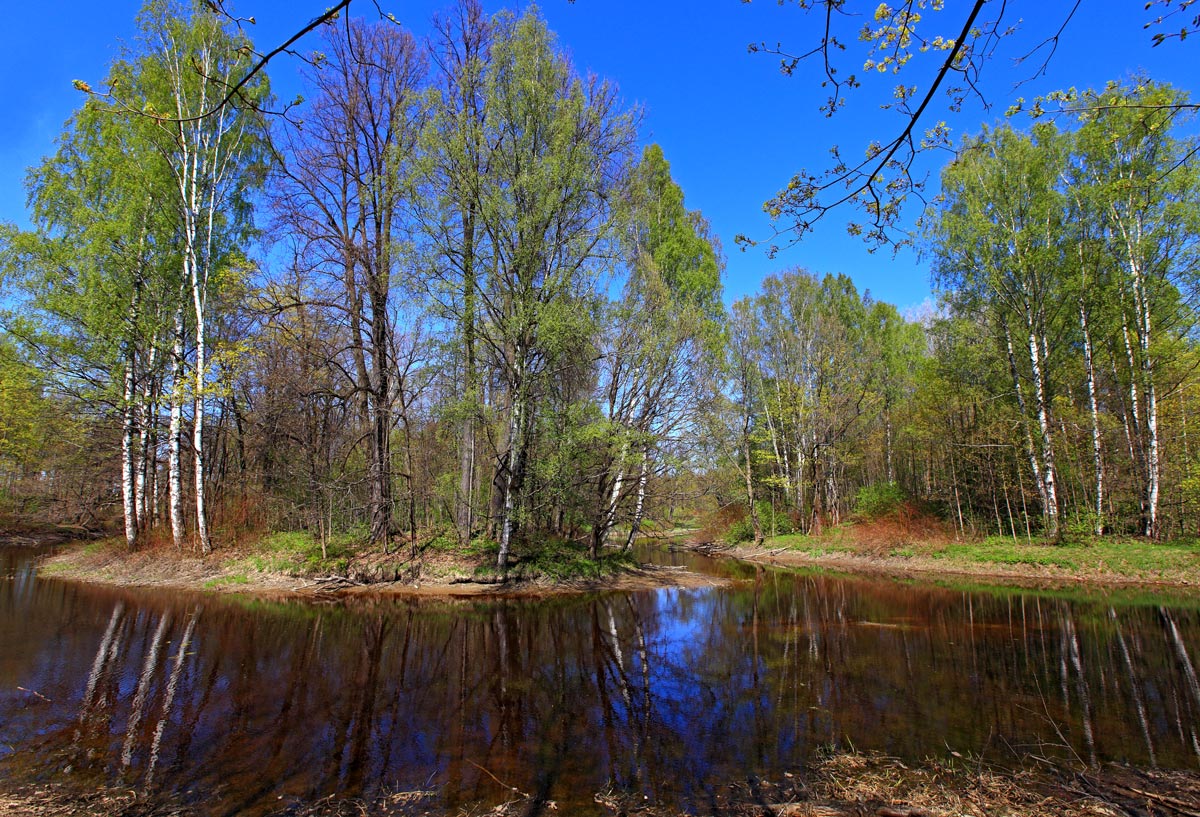 У реки