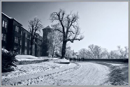 Kjrakov 3336