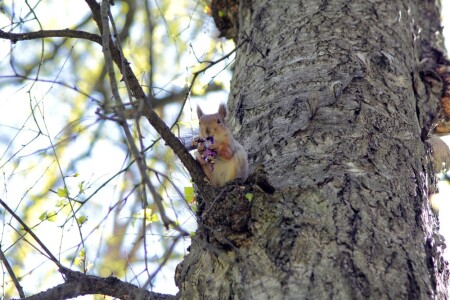 С конфеткой!!!!