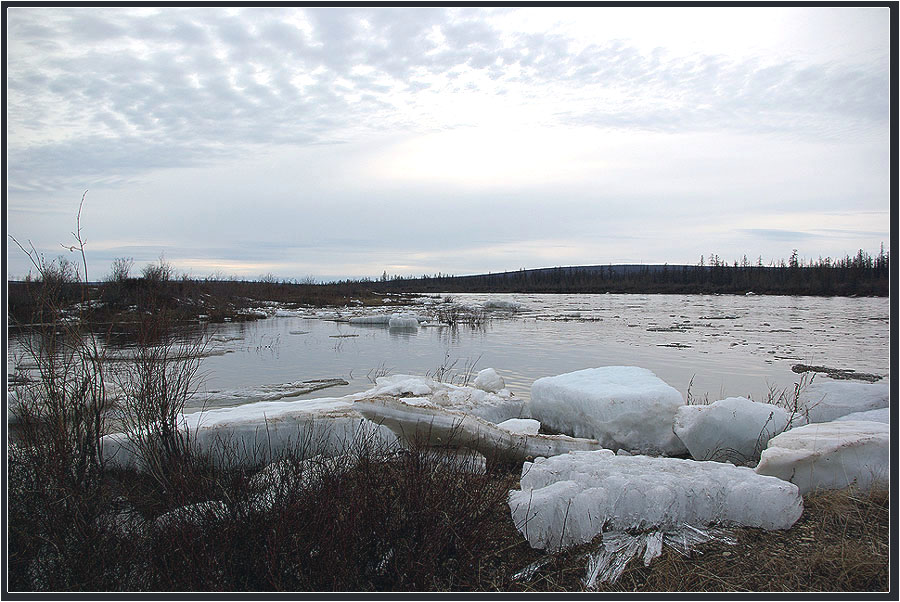 Осколки Зимы