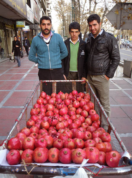 Amir Hossein, Amir Ali, Amir Reza Annari