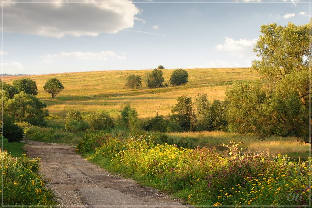 Старошаховская