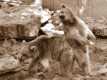 Давай, помиримся?...