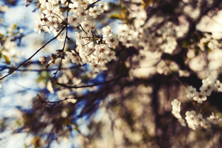 Весенние зарисовки