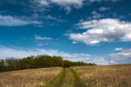 Полевая дорога