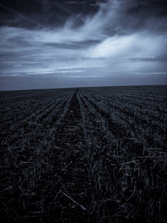 бесконечности свобода