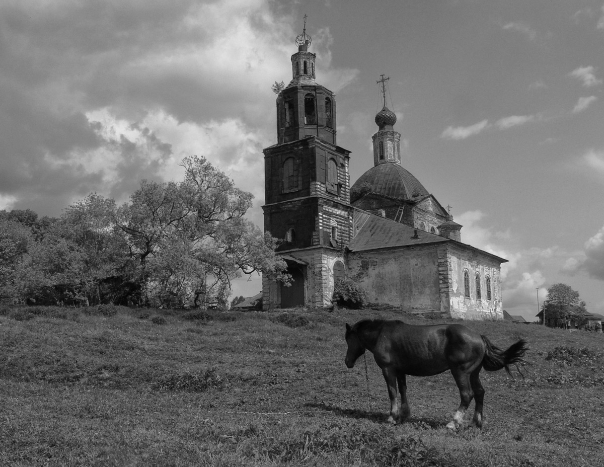 Лошадь у церкви в Масальском