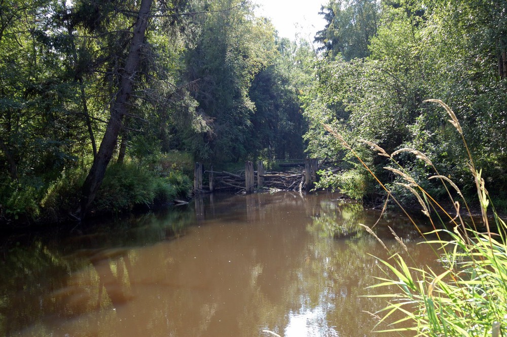 жаркий день