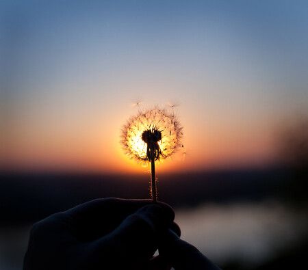 Маленькое солнце, закат