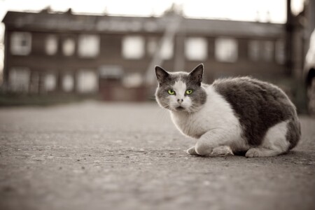 Одиночество