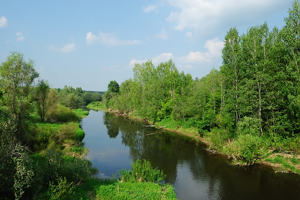 Река в лесу