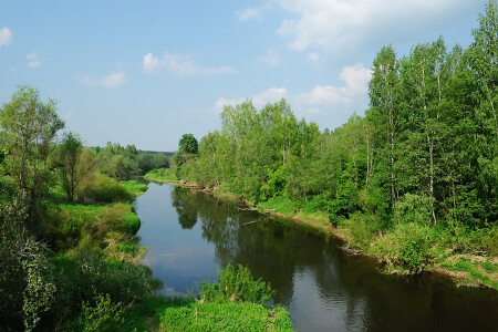 Река в лесу
